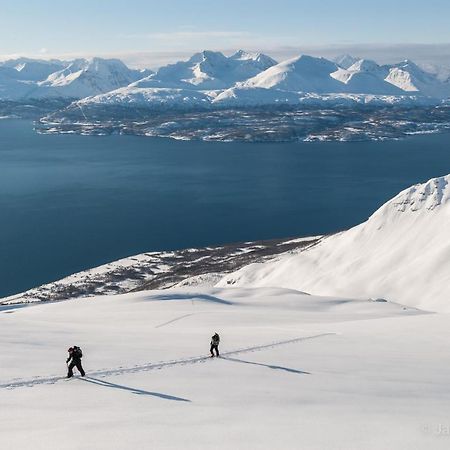 Vila Lyngenfjord, Froyas Hus Olderdalen Exteriér fotografie