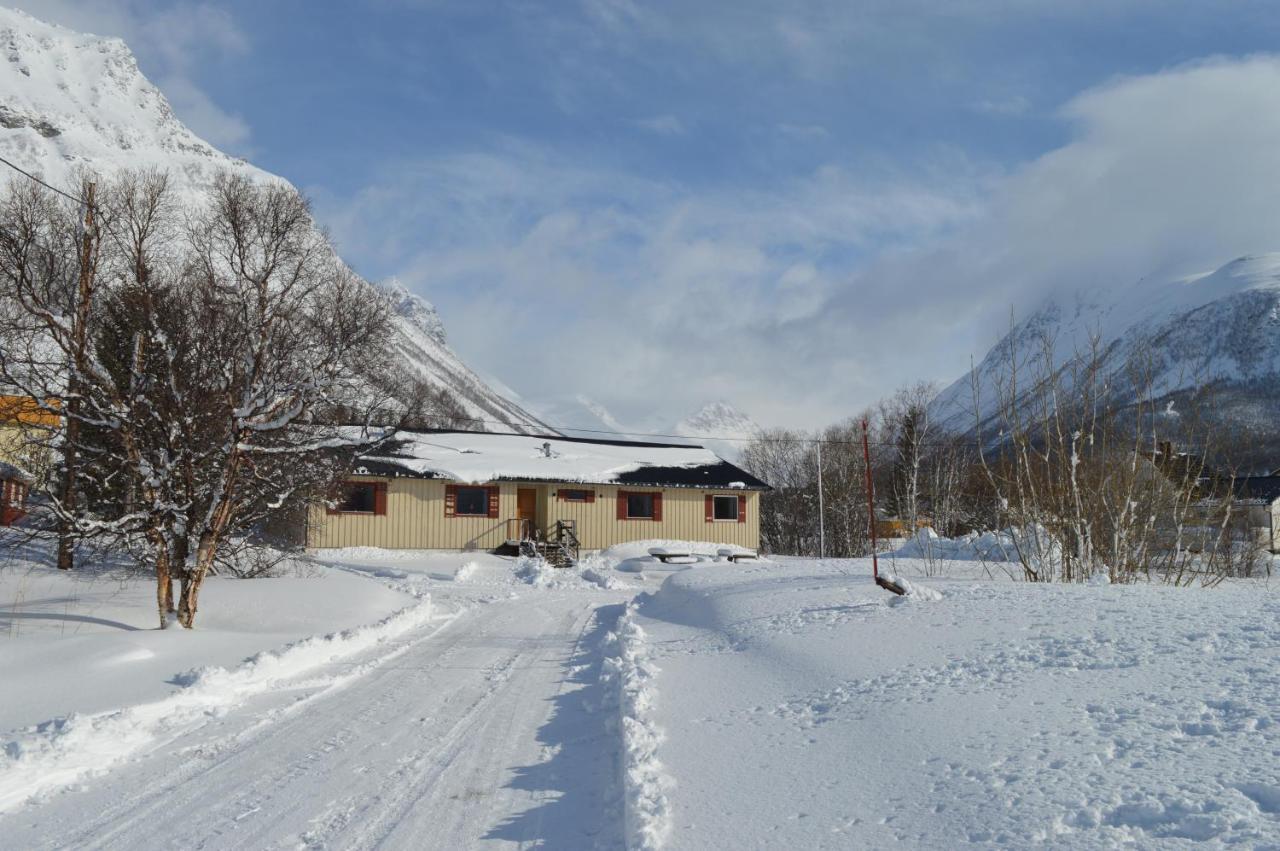 Vila Lyngenfjord, Froyas Hus Olderdalen Exteriér fotografie