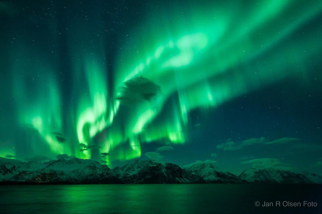 Vila Lyngenfjord, Froyas Hus Olderdalen Exteriér fotografie