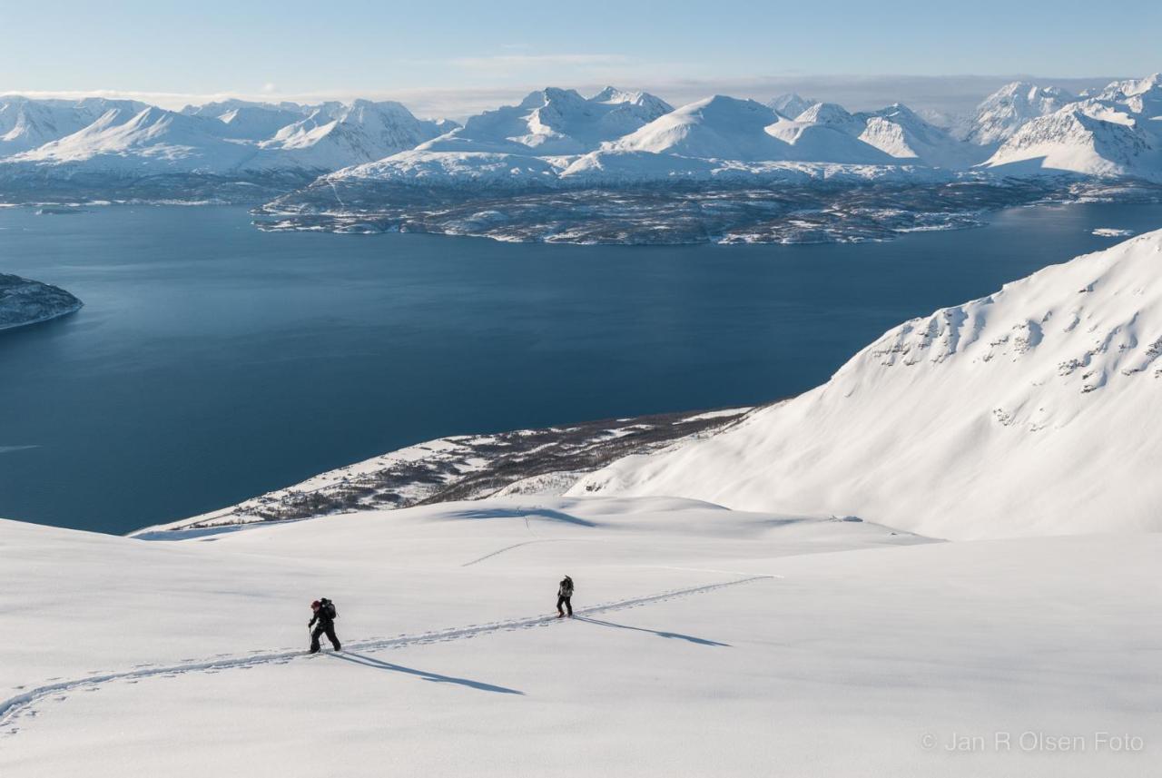 Vila Lyngenfjord, Froyas Hus Olderdalen Exteriér fotografie