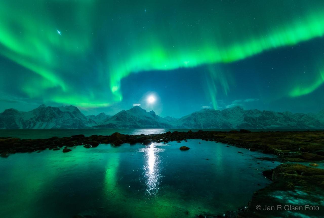 Vila Lyngenfjord, Froyas Hus Olderdalen Exteriér fotografie